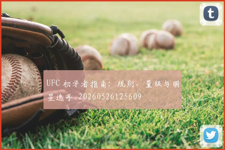 UFC 初学者指南:规则、量级与明星选手_20260526125609