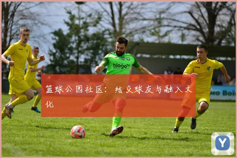 篮球公园社区：结交球友与融入文化